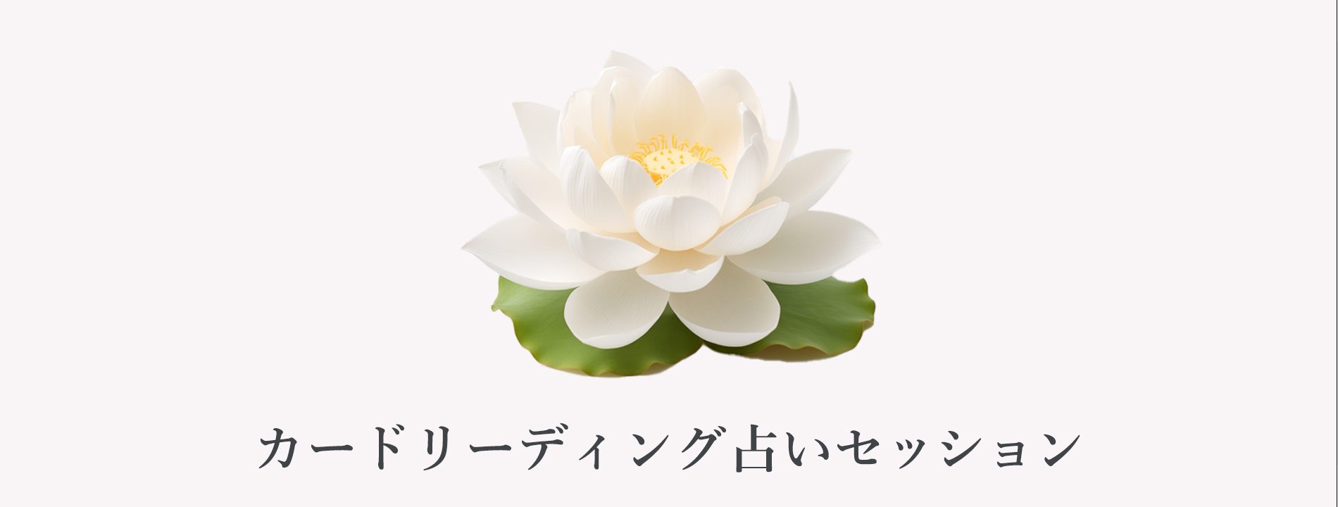 カードリーディング占いセッション