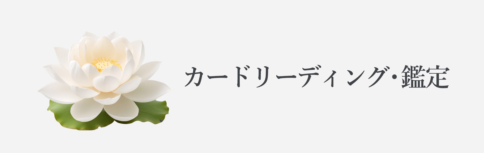 カードリーディング・鑑定